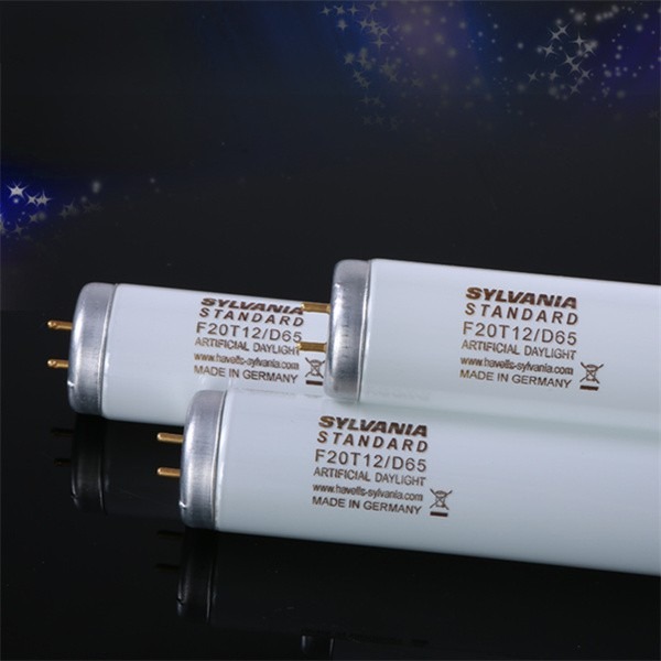 91免费视频网页版