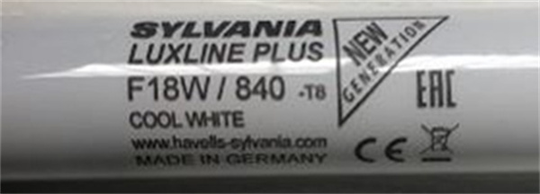 91免费视频网页版