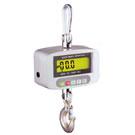 OCS系列直视式电子吊钩秤